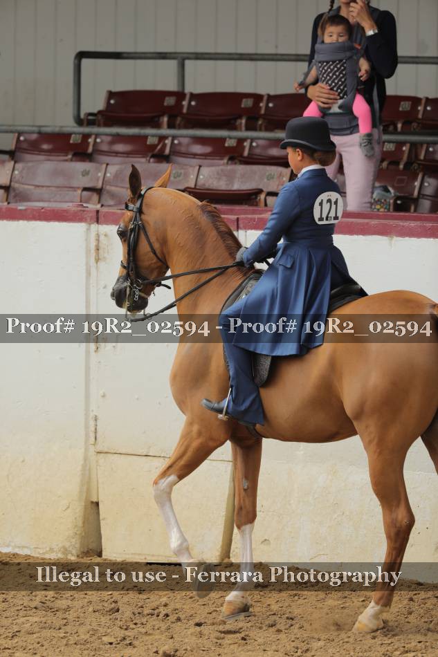 Proof 19R2_02594