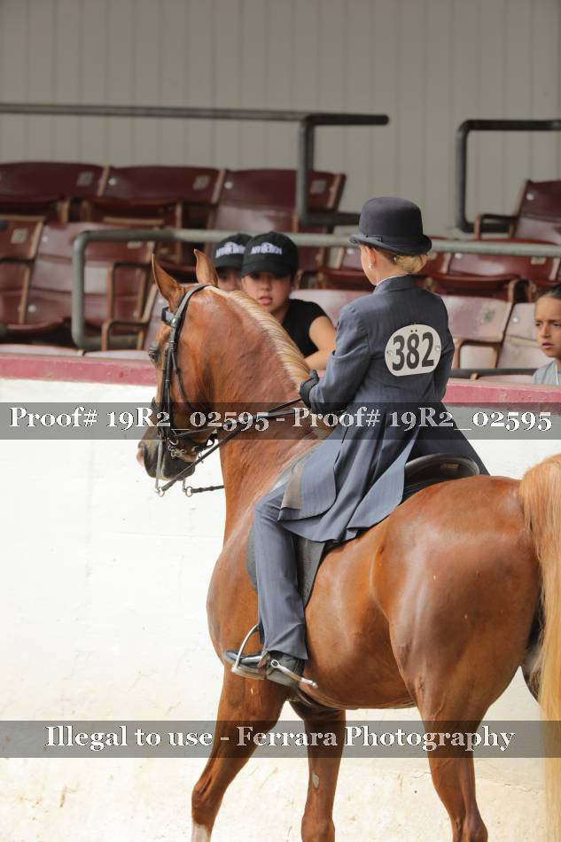Proof 19R2_02595