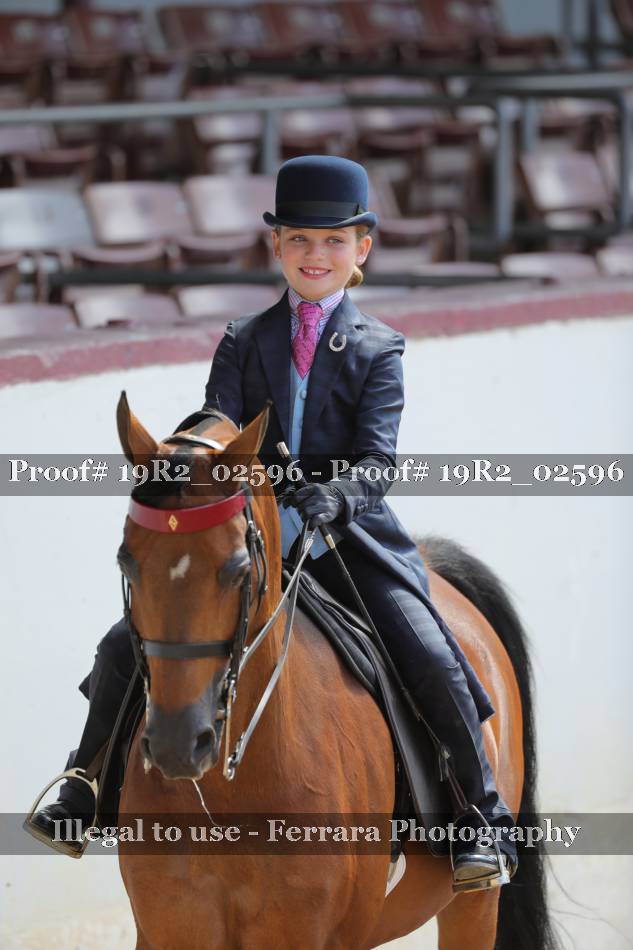 Proof 19R2_02596