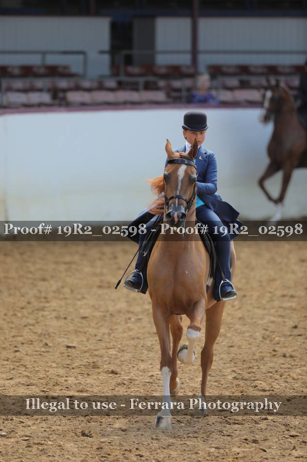 Proof 19R2_02598