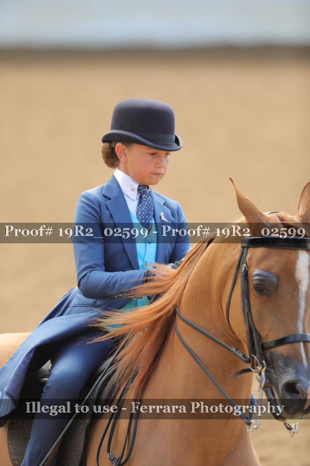 Proof 19R2_02599