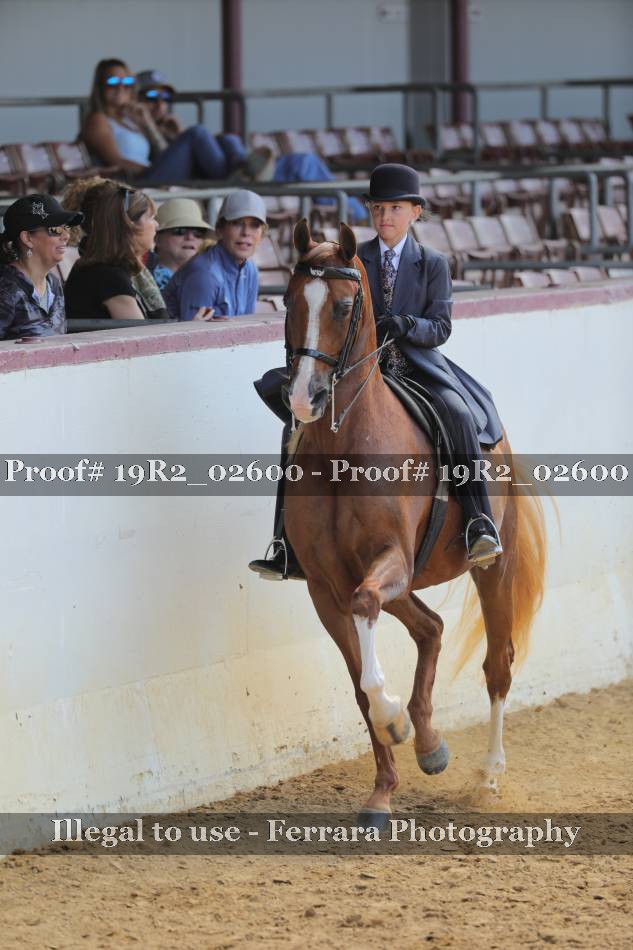 Proof 19R2_02600