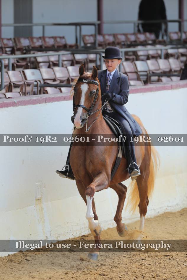 Proof 19R2_02601