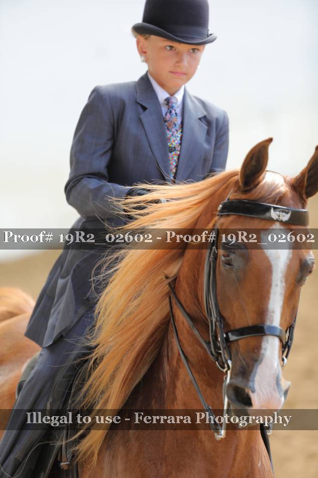 Proof 19R2_02602