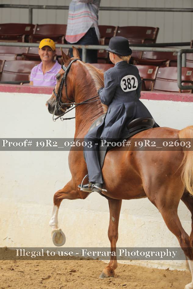 Proof 19R2_02603