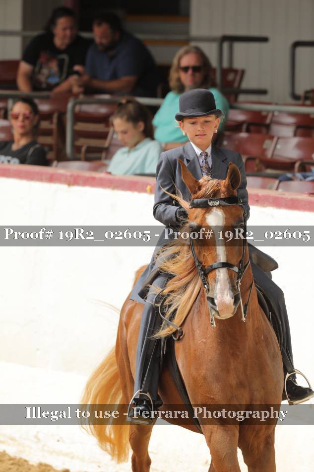 Proof 19R2_02605