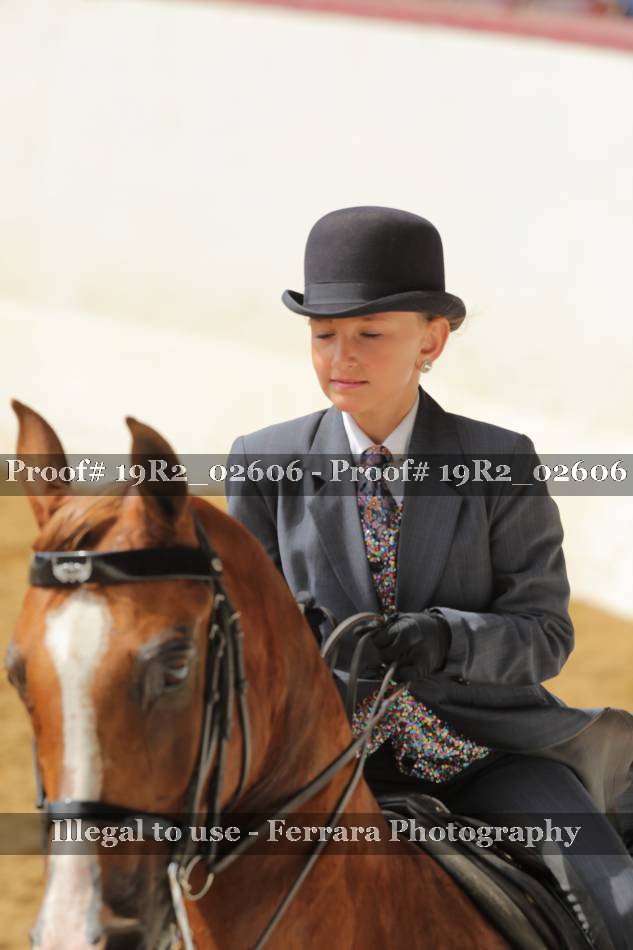 Proof 19R2_02606