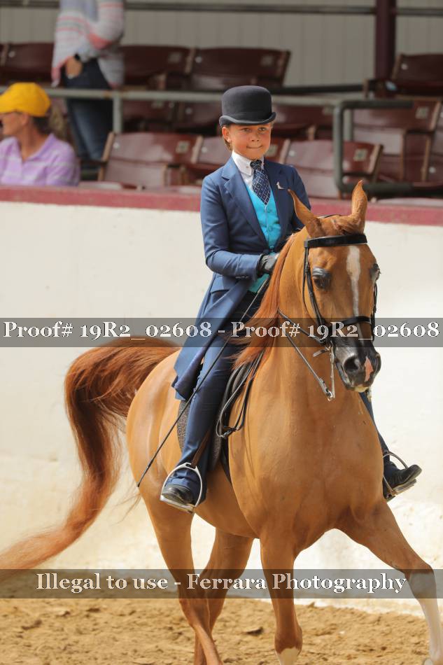 Proof 19R2_02608
