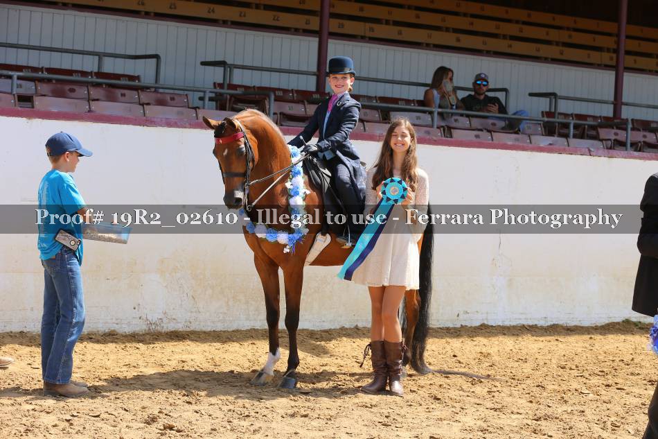 Proof 19R2_02610