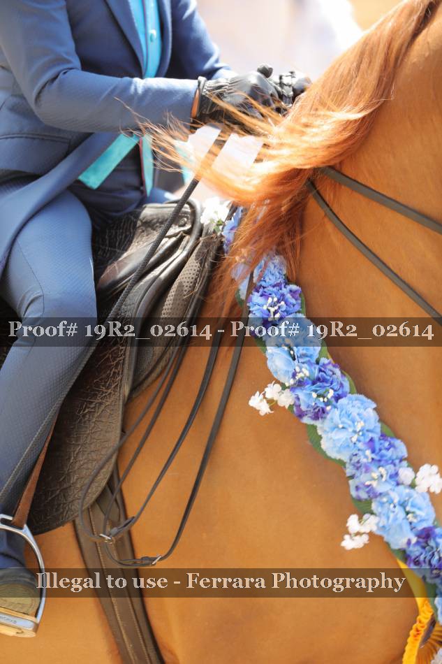 Proof 19R2_02614