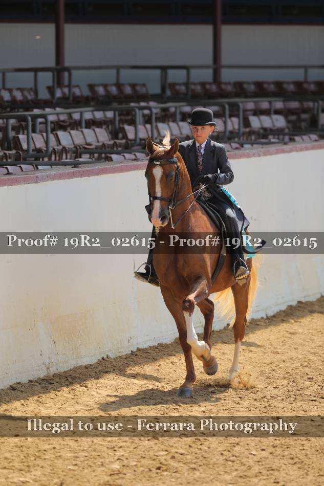 Proof 19R2_02615