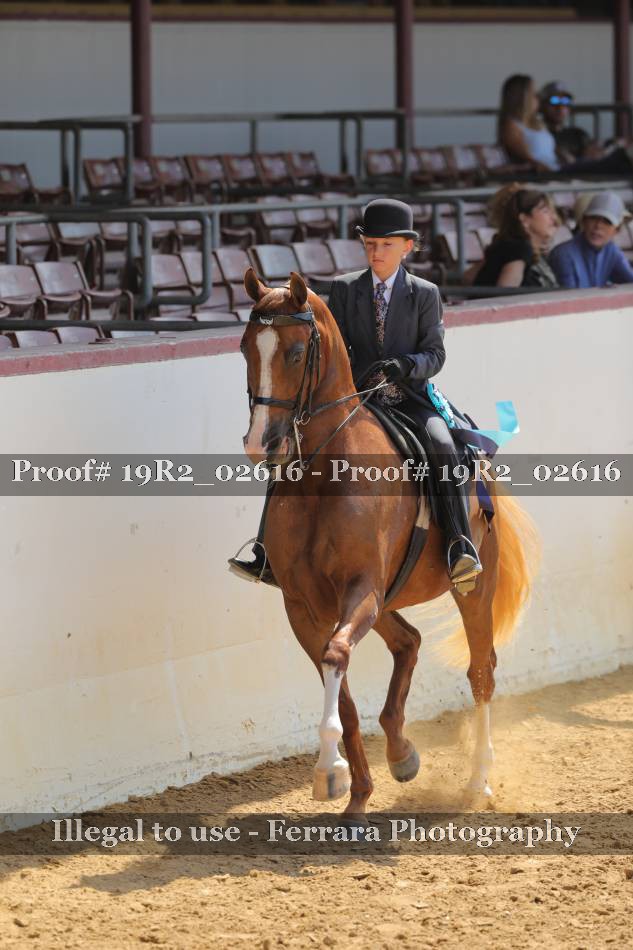 Proof 19R2_02616