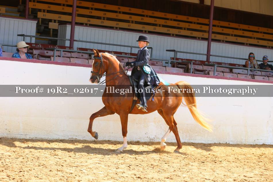 Proof 19R2_02617