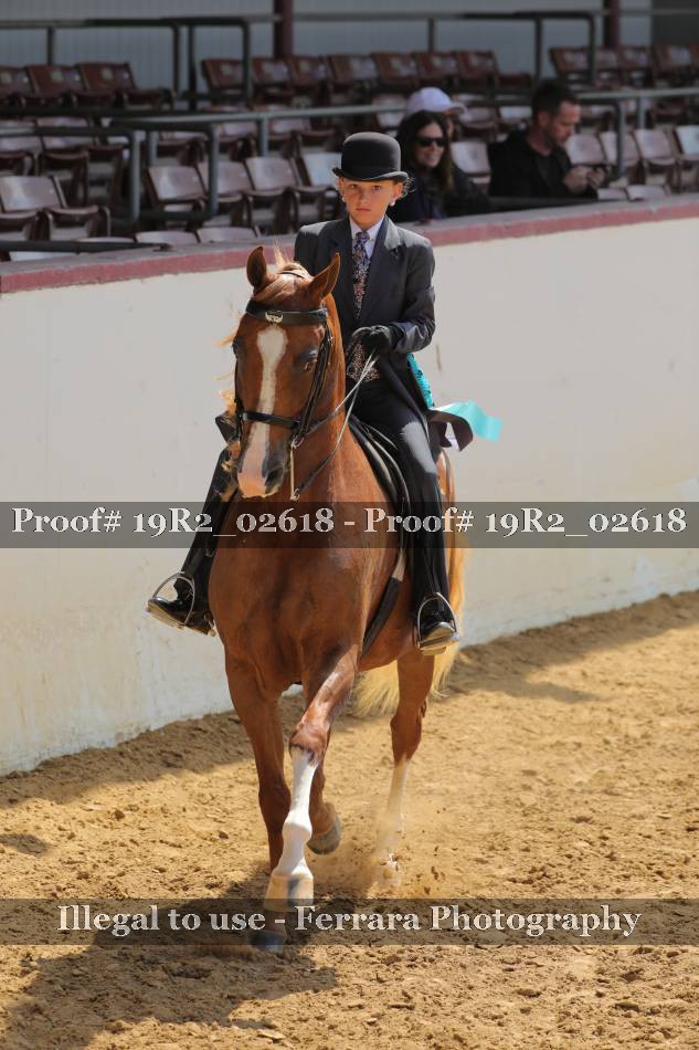 Proof 19R2_02618
