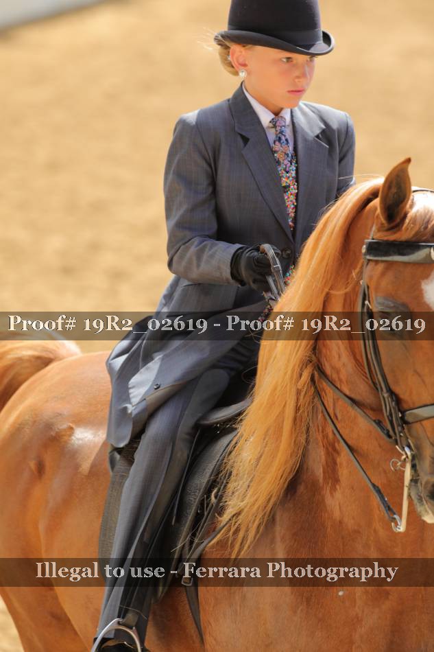 Proof 19R2_02619