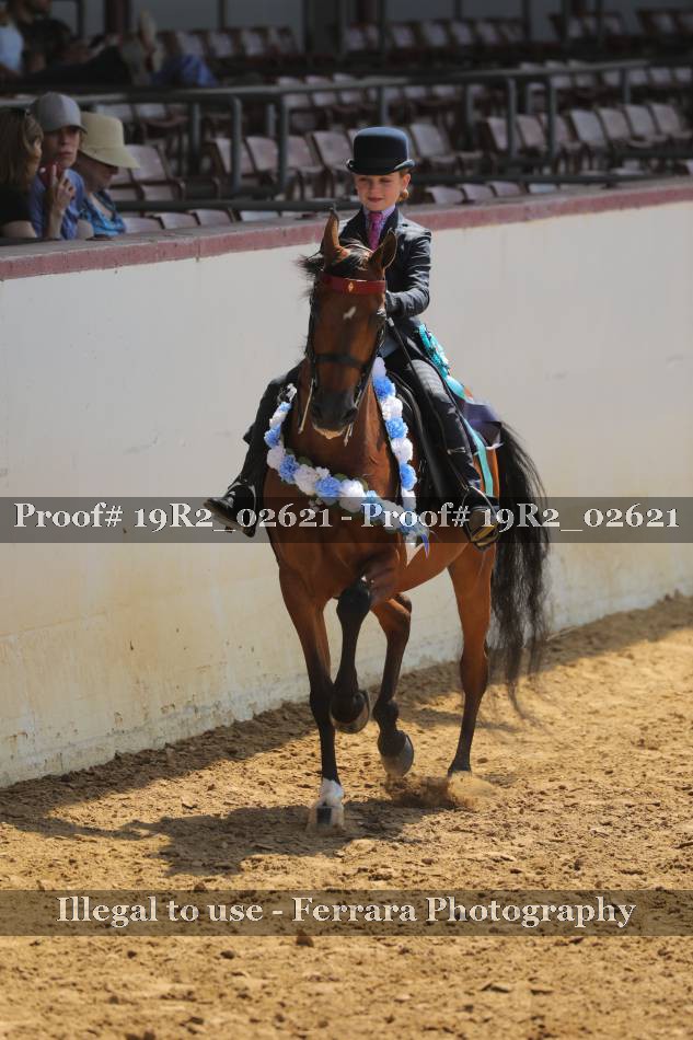 Proof 19R2_02621