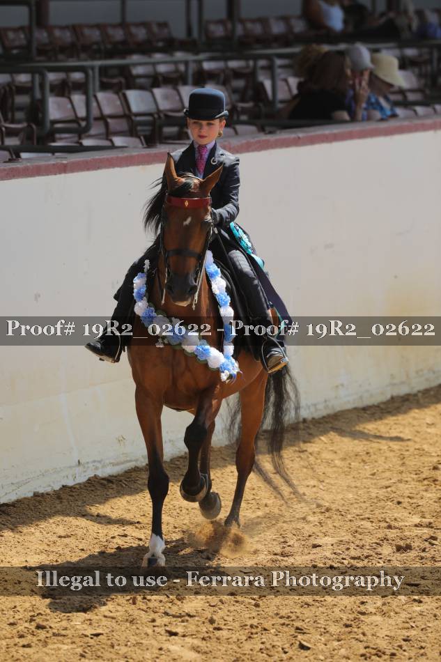 Proof 19R2_02622