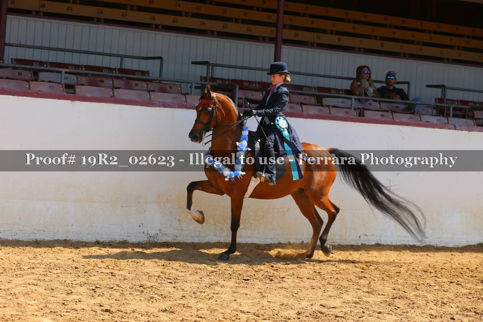 Proof 19R2_02623