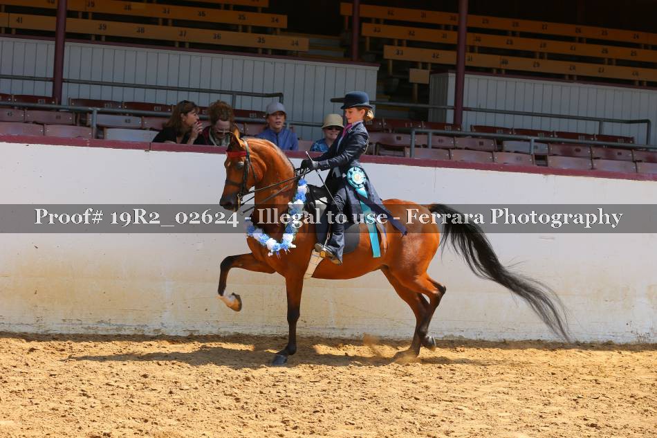 Proof 19R2_02624