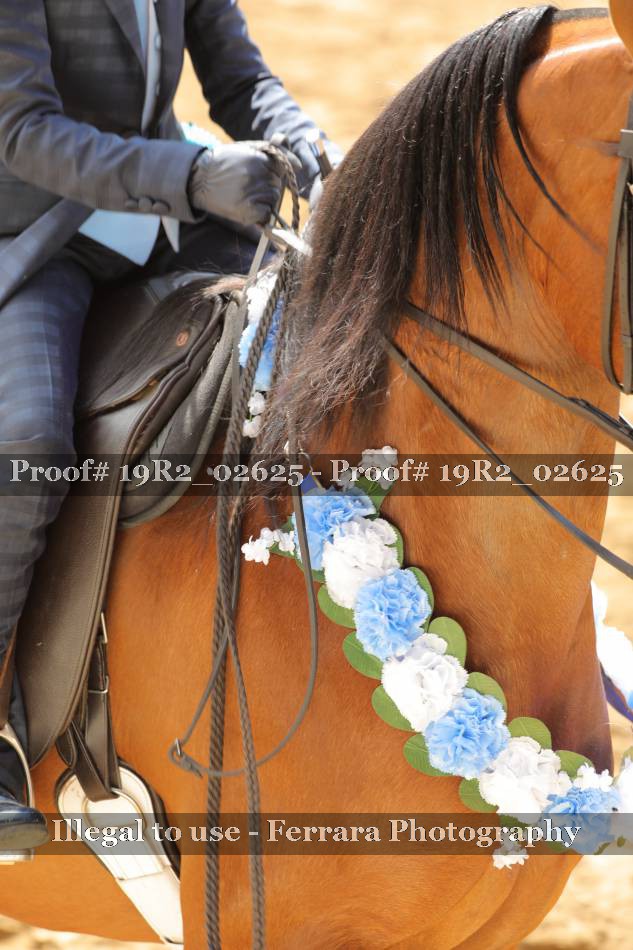 Proof 19R2_02625