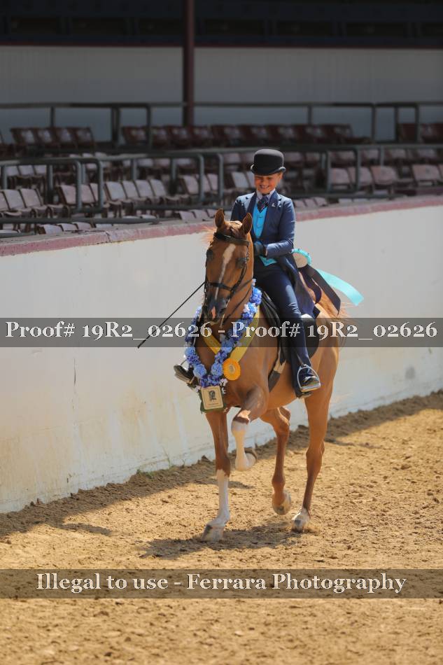 Proof 19R2_02626