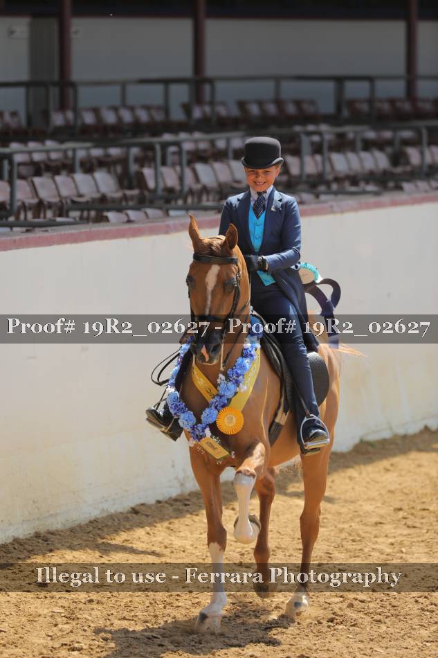 Proof 19R2_02627