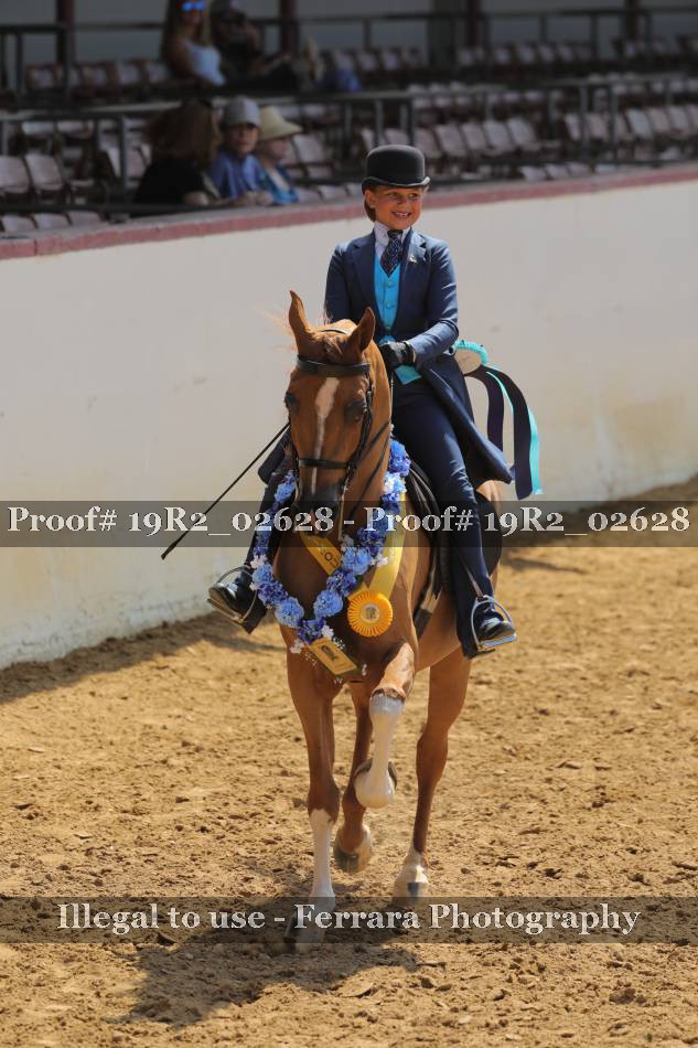 Proof 19R2_02628