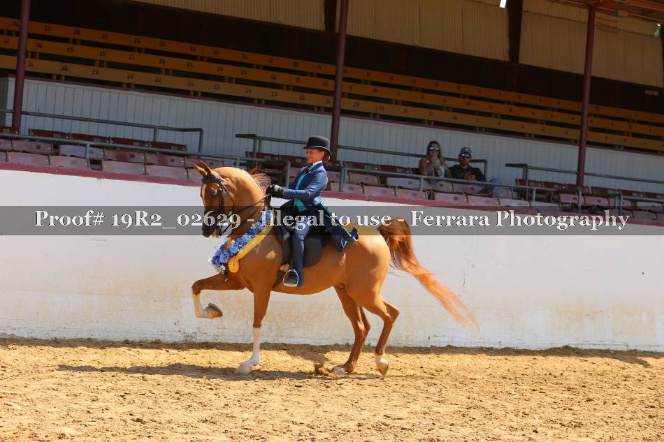 Proof 19R2_02629
