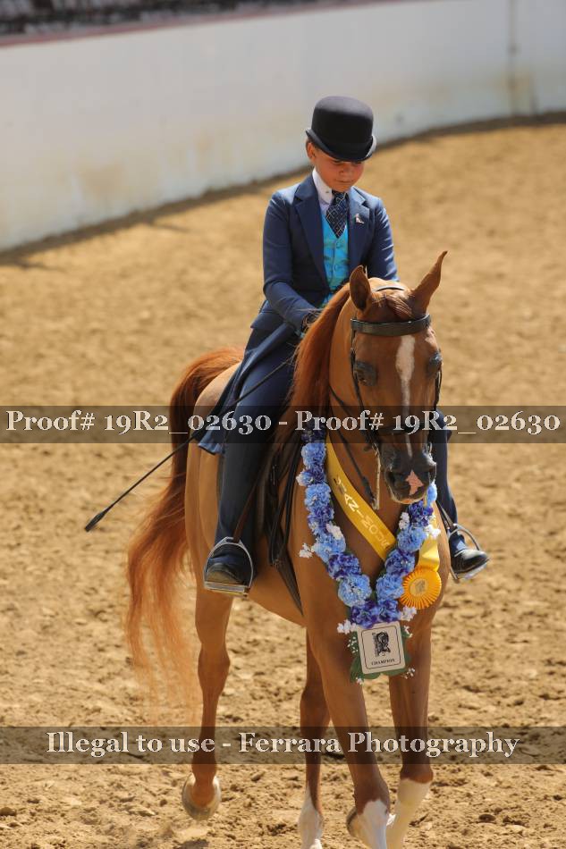 Proof 19R2_02630