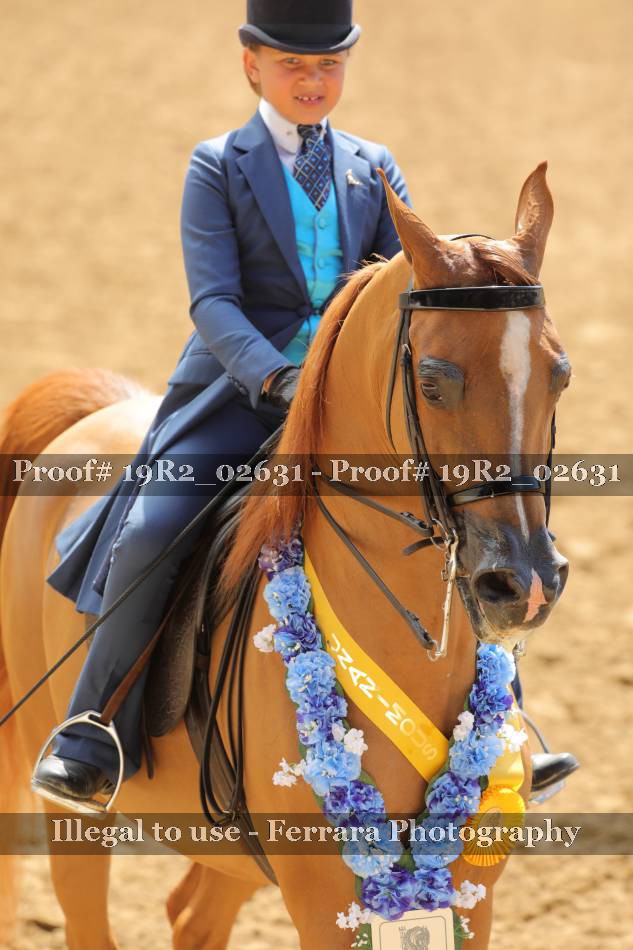 Proof 19R2_02631