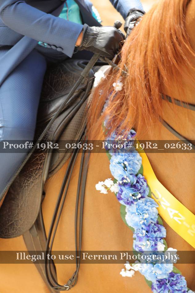 Proof 19R2_02633