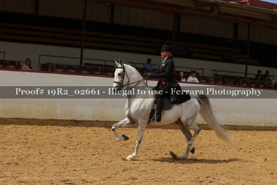 Proof 19R2_02661