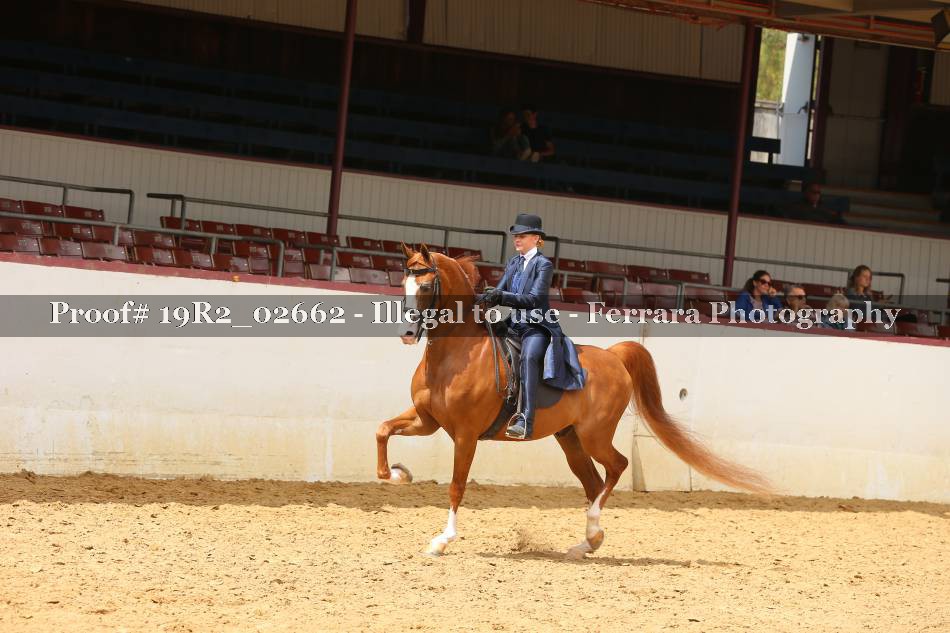 Proof 19R2_02662