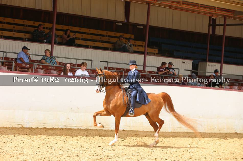 Proof 19R2_02663