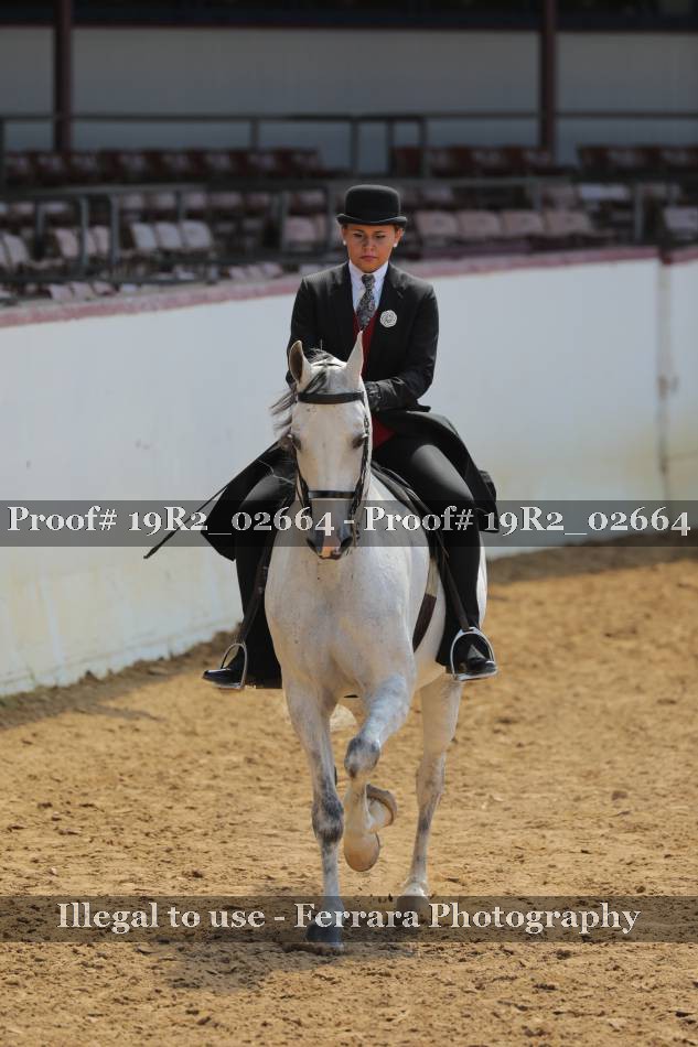 Proof 19R2_02664