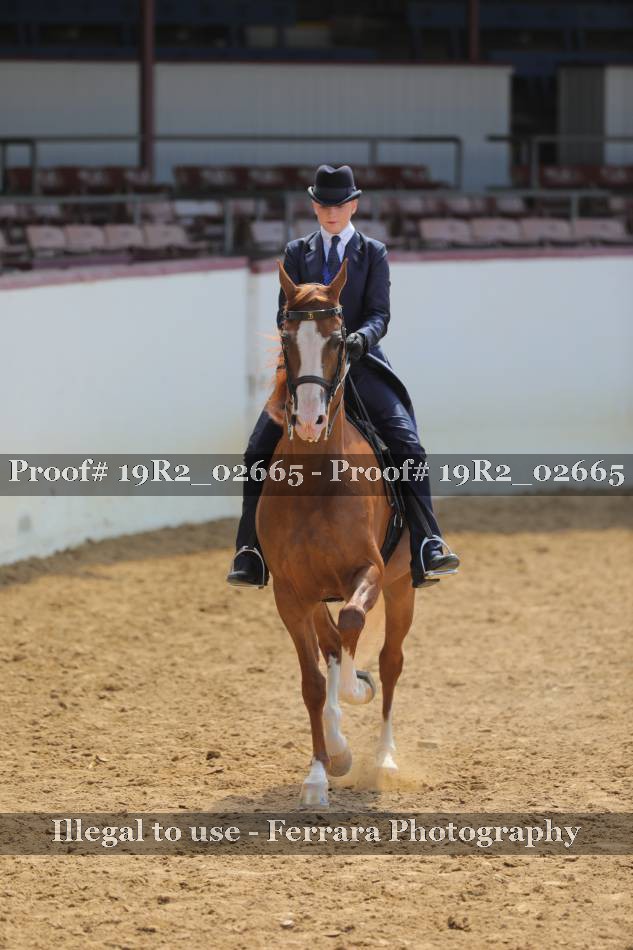 Proof 19R2_02665