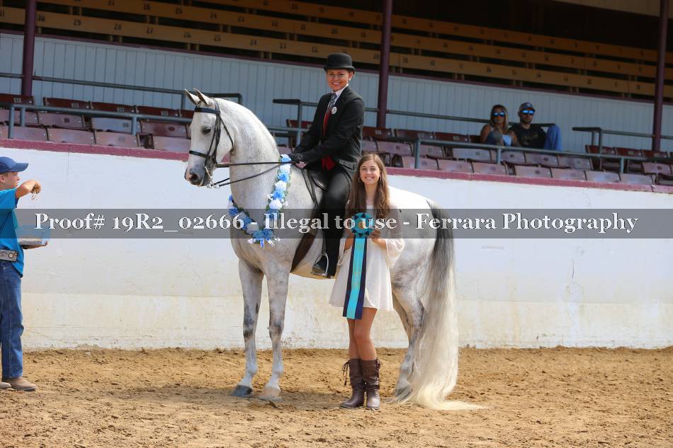 Proof 19R2_02666