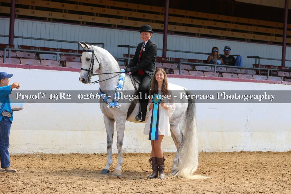 Proof 19R2_02667