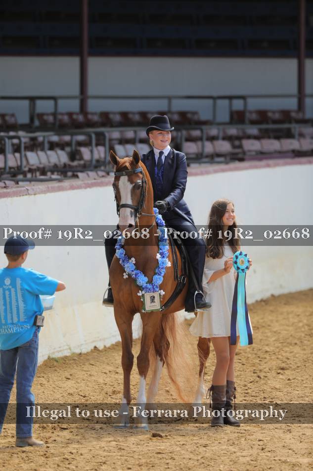 Proof 19R2_02668
