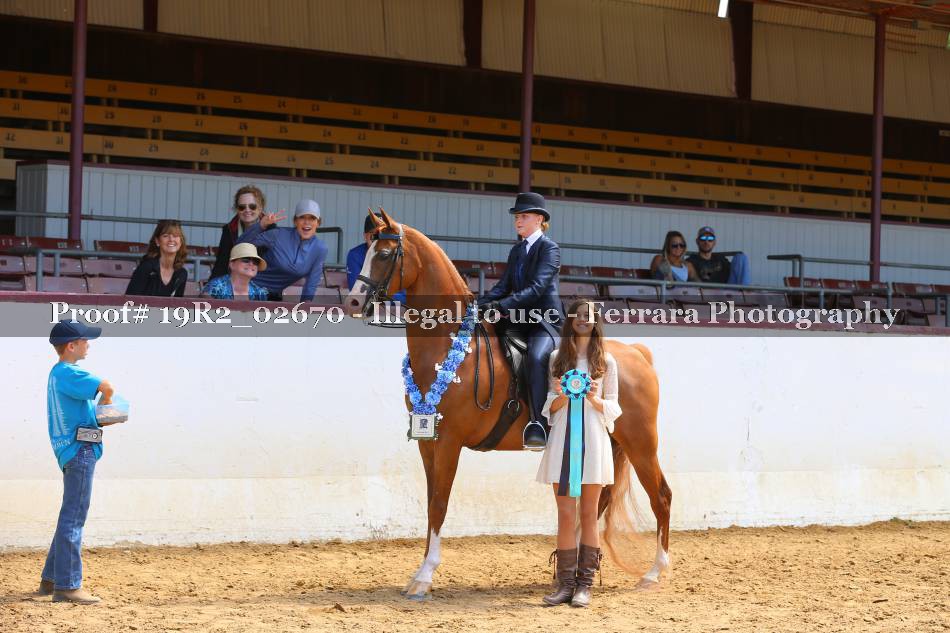 Proof 19R2_02670