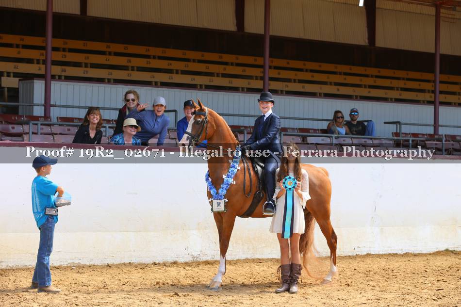 Proof 19R2_02671