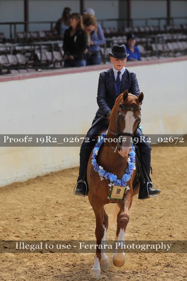 Proof 19R2_02672