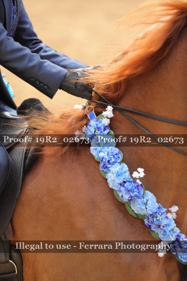 Proof 19R2_02673