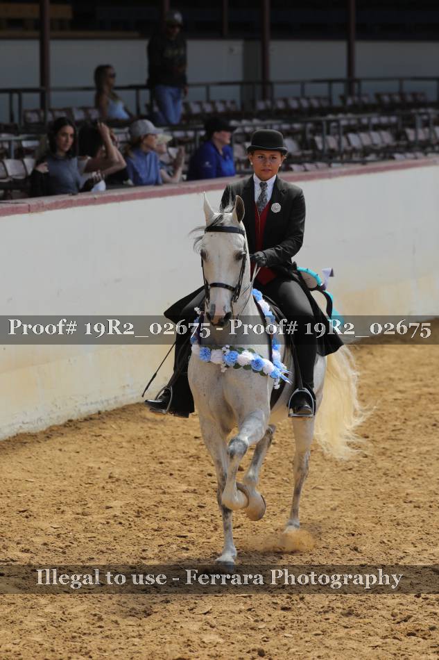 Proof 19R2_02675