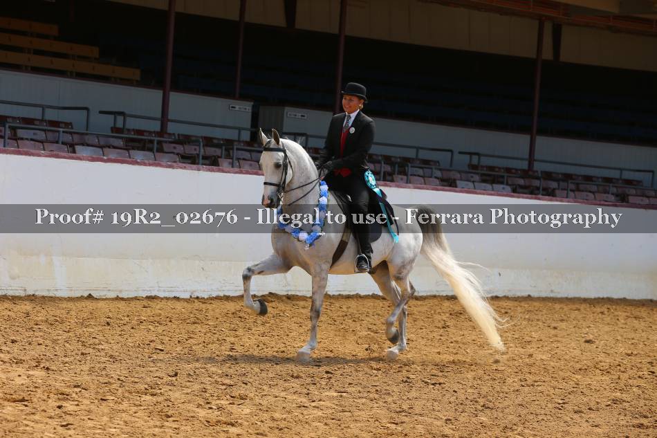 Proof 19R2_02676
