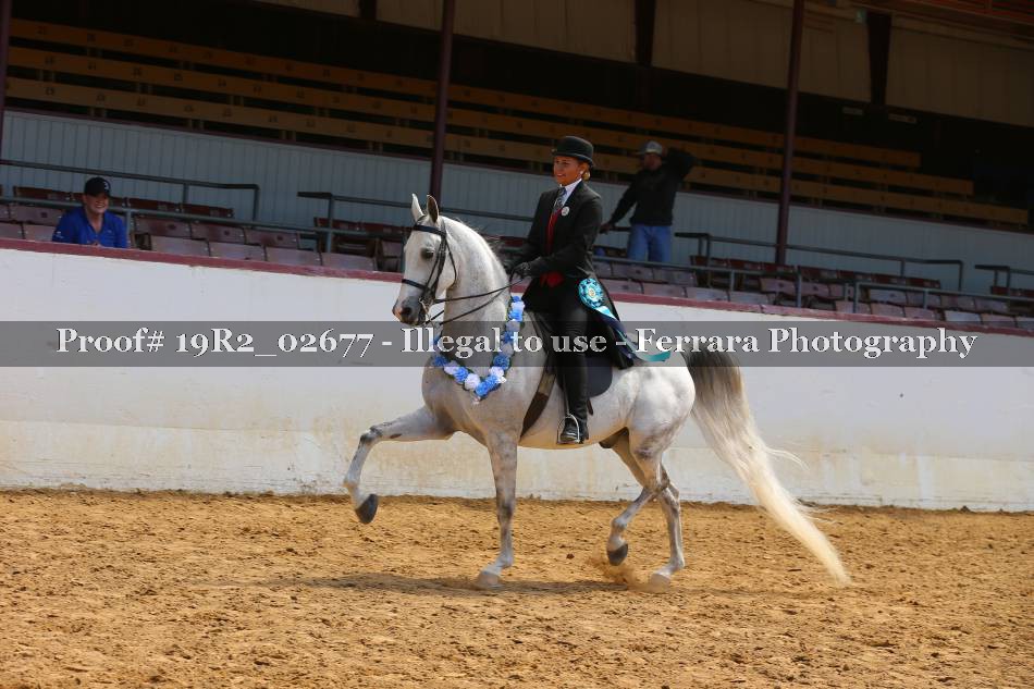 Proof 19R2_02677