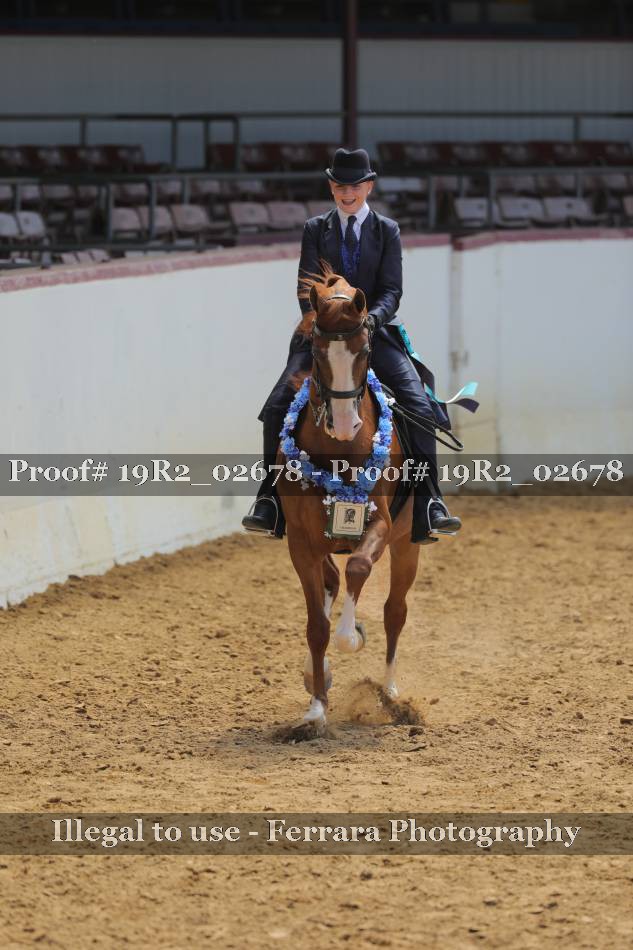 Proof 19R2_02678