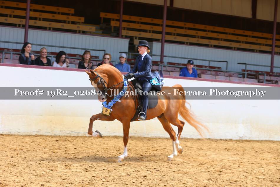 Proof 19R2_02680