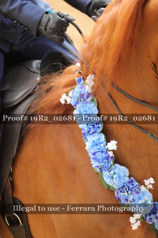 Proof 19R2_02681