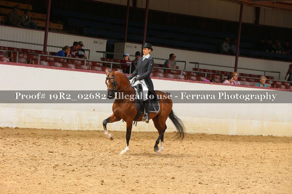 Proof 19R2_02682